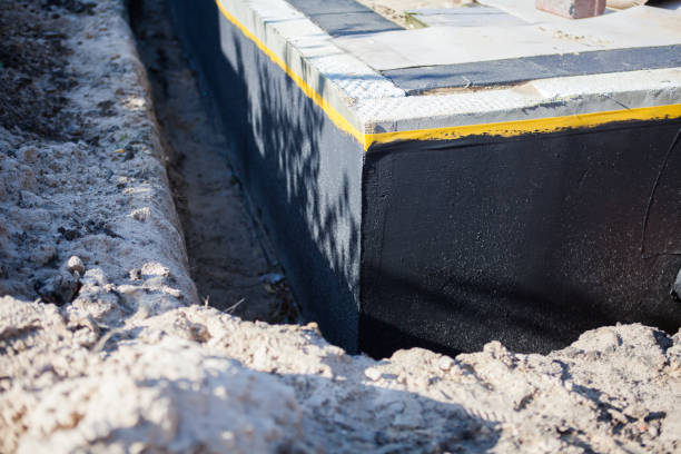 Professional Wet Basement Repair technician working in Jacksboro, TN