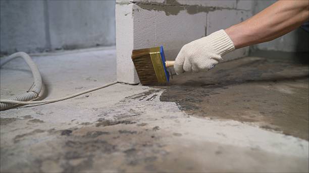 24/7 Emergency Wet Basement Repair experts in Jacksboro, TN